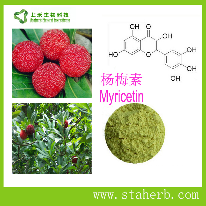 杨梅素Myricetin-上禾生物