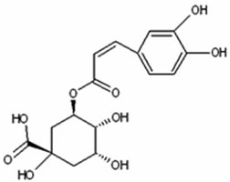 Structure of chlorogenic acid