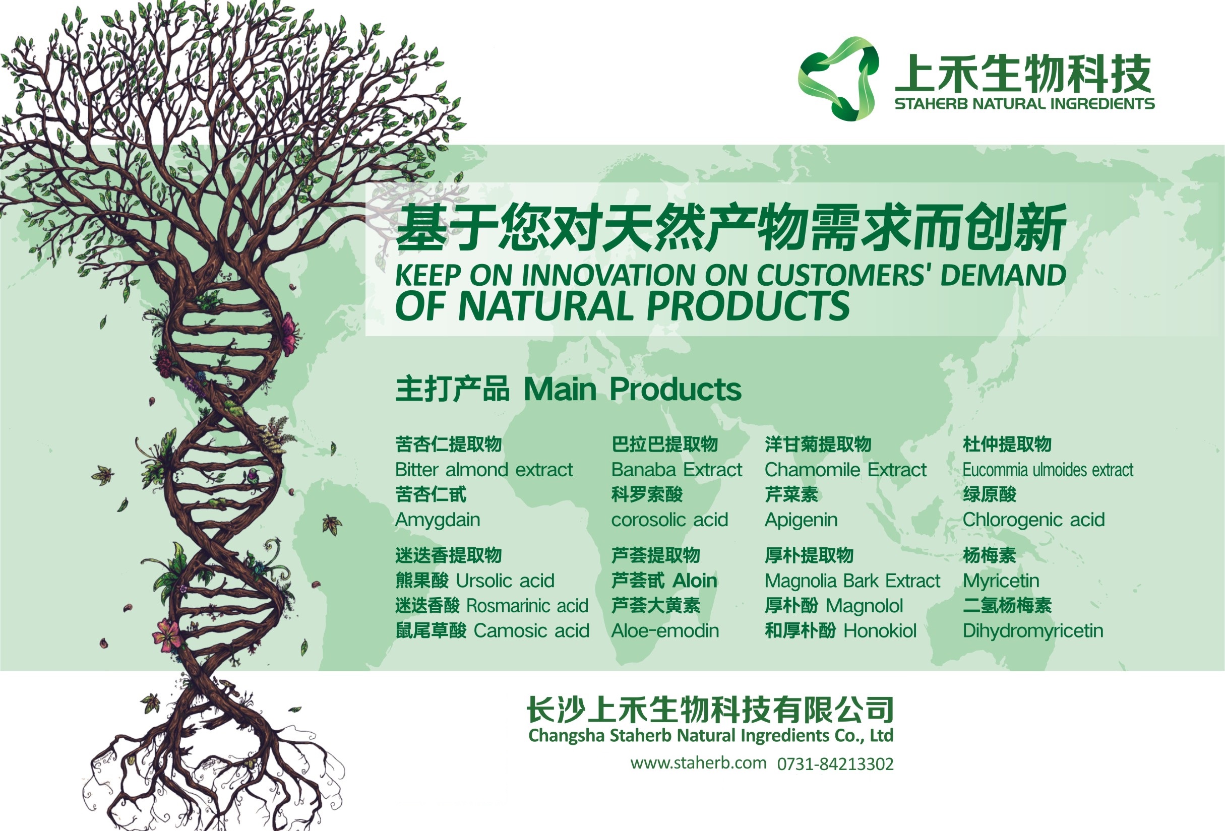 ������ȡ��Eucommiaceae P.E.
